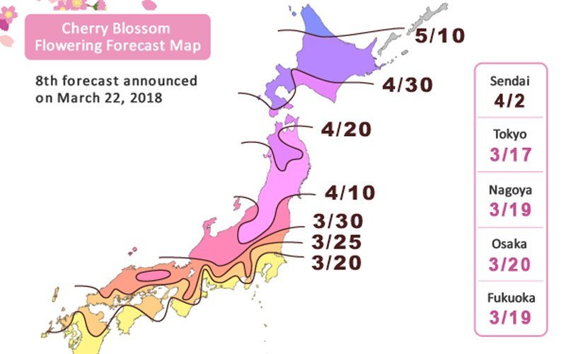 Cherry blossom flowering forecast map 2018