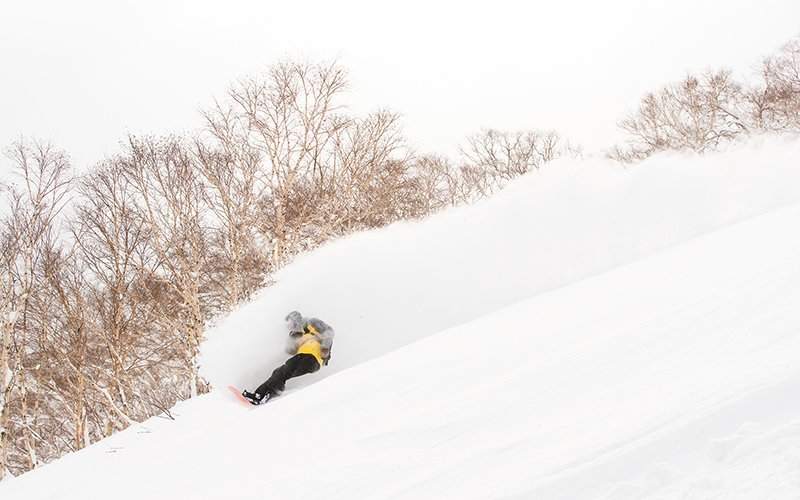 evan wilcox snowboarding niseko japan powder