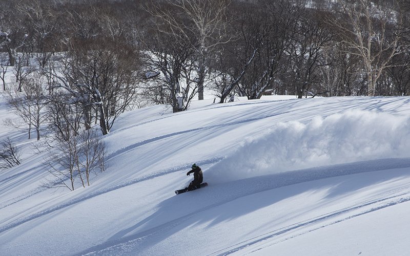 deep powder snowboarding niseko japan