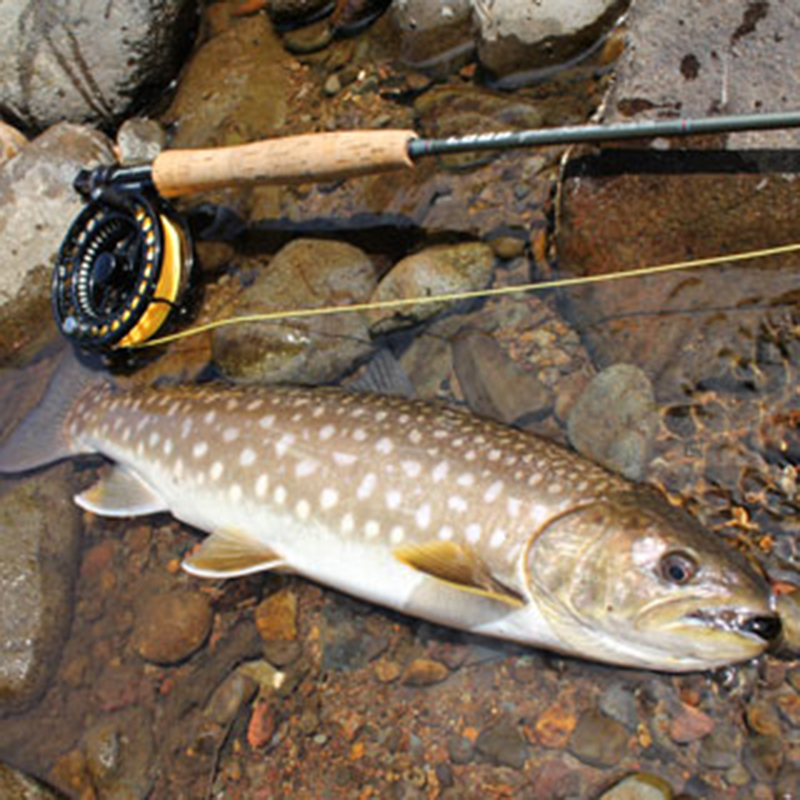 vacation-niseko-fishing-tours