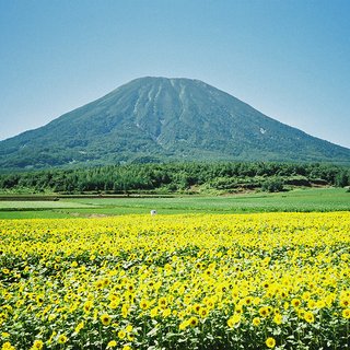 vacation-niseko-summer-hiking-mt-yotei