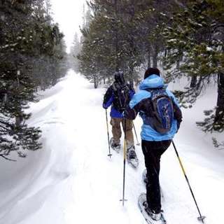 Snowshoeing - Niseko