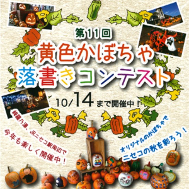 Niseko pumpkin medium