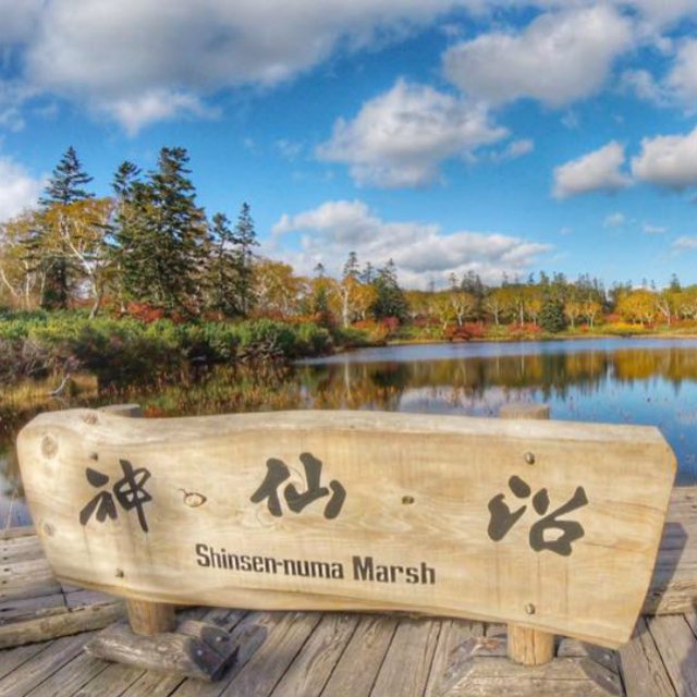 Niseko events information in october medium