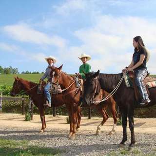 Horse Riding - Niseko