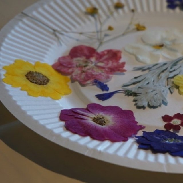 Flower square hirafu medium