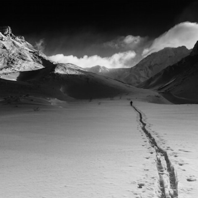 Darren teasdale hokkaido photo exhibition medium