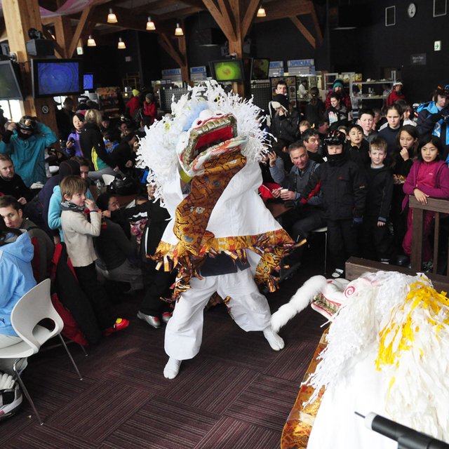 Lion dance square medium